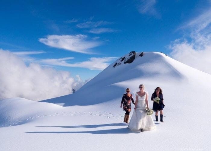 Bridal Party on snow